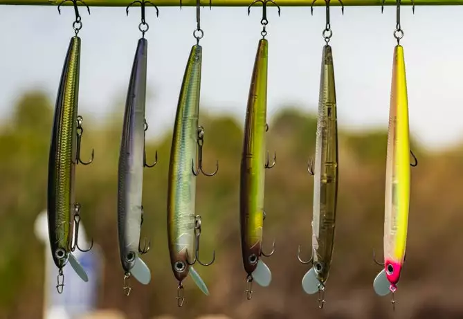 Cheap Daiwa Store -Cheap Daiwa Store 345861