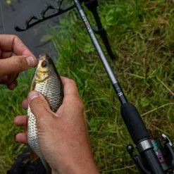 Daiwa N'ZON S Pellet Waggler Rods -Cheap Daiwa Store daiwa n zon s pellet waggler rods in use 4