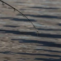 Daiwa Ninja Drop Shot Rod Rods -Cheap Daiwa Store daiwa ninja drop shot rod lifestyle 5