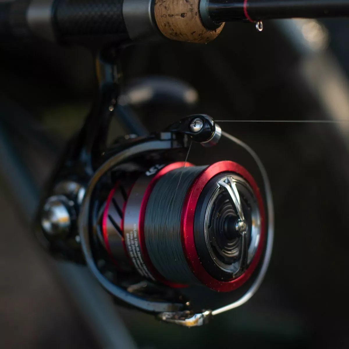Daiwa Ninja Match & Feeder LT Reels 5 Daiwa Ninja Match & Feeder LT Reels - Image 5