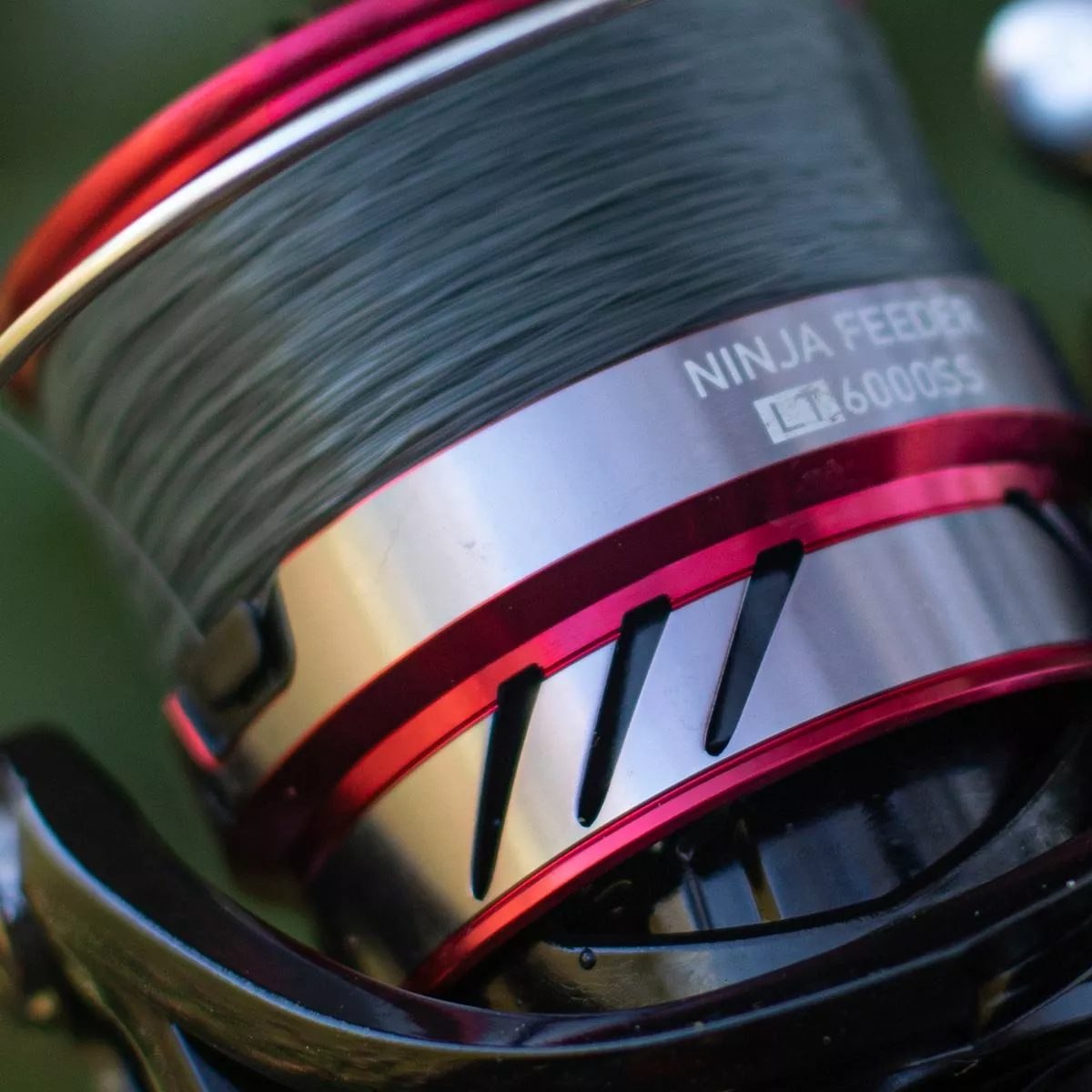 Daiwa Ninja Match & Feeder LT Reels 7 Daiwa Ninja Match & Feeder LT Reels - Image 7