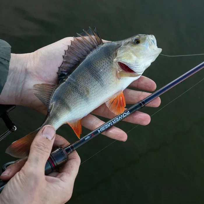 Daiwa Powermesh AX Drop Shot Rod Rods 2 Daiwa Powermesh AX Drop Shot Rod Rods - Image 2